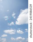 Himmelsträume: Ein Tanz der Wolken und Ballons