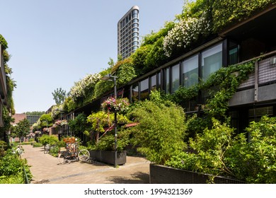 Eindhoven, The Netherlands June 18th 2021. Green nature street in the centre of Eindhoven city with plants, greenery, flowers and overgrown houses, stores and a high rise building