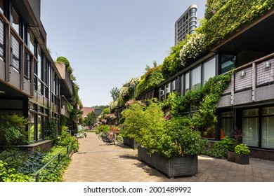 Eindhoven, The Netherlands June 18th 2021. Street with green nature in the city with plants, greenery, flowers and overgrown houses, stores and a high rise building. Biophilic living, vertical garden