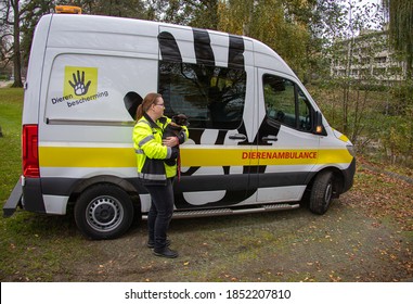 Eindhoven, The Netherlands -November 11 2020: Dutch Animal Ambulance. Help Or Rescue Pet In Need For First Aid.Care, Dierenambulance Or Dierenbescherming. Woman With A Dog. Protection,part Of A Serie.