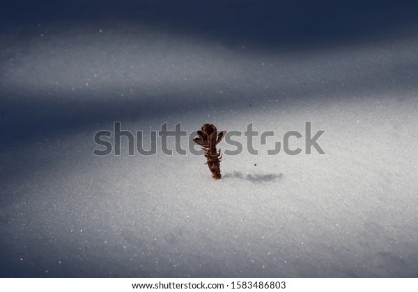 8 Schnee Rand Images, Stock Photos & Vectors 