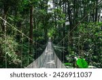 El Arenal National Park, Costa Rica