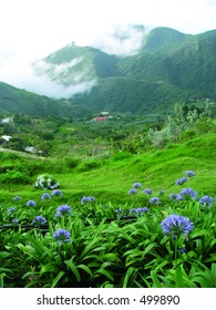 El Avila. Caracas. Venezuela