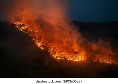 El Niño causes an increase in wildfires by driving hotter, drier weather.