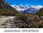 El Chalten, Argentina: Dramatic view of the Cerro Torre Peak and the Rio Fitz Roy river in the Los Glaciares National Park in El Chalten with autumn colors in trees