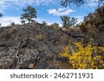 El Malpais National Monument in New Mexico. Pahoehoe Lava, McCartys Lava Flow, Rugged lava flows along Zuni-Acoma Trail. 