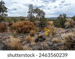 El Malpais National Monument in New Mexico. Rock cairn along Zuni-Acoma Trail. Pahoehoe Lava, McCartys Lava Flow, Rugged lava flows. 