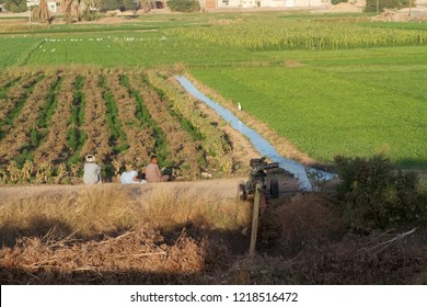 EL MINYA, EGYPT - JANUARY 2, 2013: Egyptian farmers in Middle Egypt irrigating their fields.