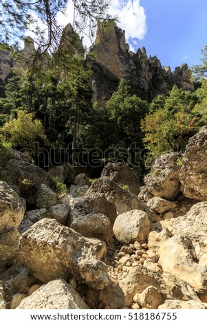 Similar – Image, Stock Photo ray of hope trees Shadow