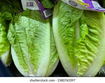 El Paso, Texas / USA: CircaDecember 2019
Fresh, Organic, Non-GMO Romaine Lettuce On Display In The Produce Section Of A Grocery Store.
(Lactuca Sativa L. Var. Longifolia