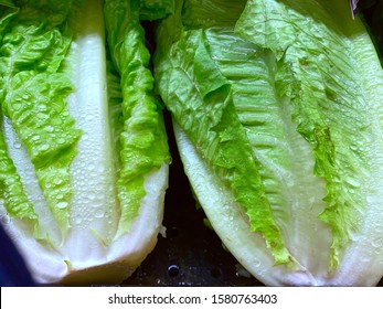 El Paso, Texas / USA: CircaDecember 2019
Fresh, Organic, Non-GMO Romaine Lettuce On Display In The Produce Section Of A Grocery Store.
(Lactuca Sativa L. Var. Longifolia