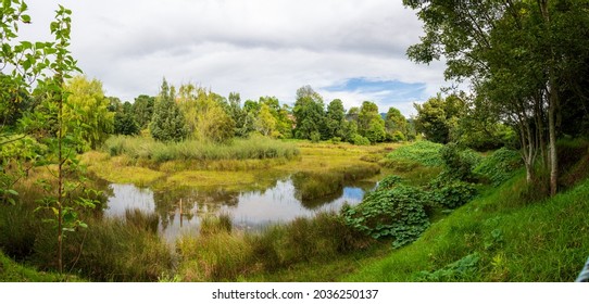 el salitre wetland in bogota colombia
