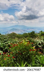 El Salvador. View From The Restaurant Garden.