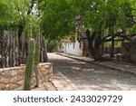 El Triunfo town La Paz , Baja California Sur, Mexico, one of the best preserved 19th and 20th century mining communities in North America and remains an important site for archaeological research