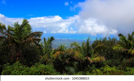 El Yunque National Forest Puerto Rico Rainforest