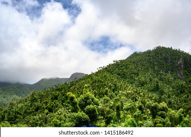 El Yunque National Forest, Puerto Rico