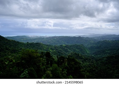 El Yunque National Forest, Puerto Rico