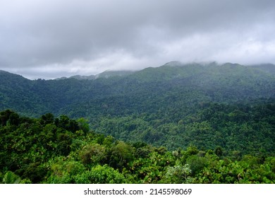 El Yunque National Forest, Puerto Rico