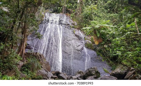 El Yunque National Forest , Puerto Rico