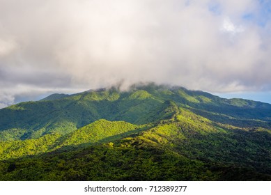 El Yunque National Forest ,Puerto Rico