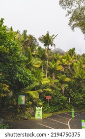 El Yunque Puerto Rico February 22, 2021: Trailhead At Mt. Britton Trail With Map Of The Hiking Trail In El Yunque Forest. Vertical