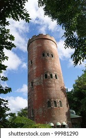 El Yunque Rainforest Tower