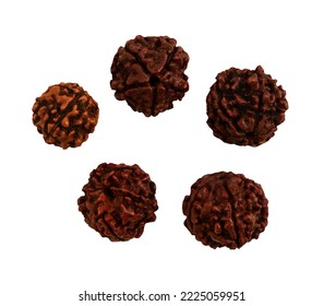 Elaeocarpus ganitrus fruits isolated on white background with clipping path.top view. - Shutterstock ID 2225059951