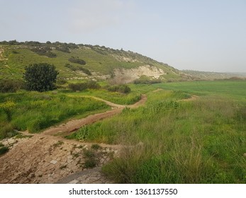 Elah Valley. Valley Of Ela. Place Where King David Killed Goliat.