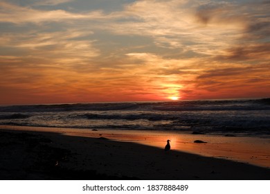 Elands Bay Sunsets Over The Summer Season