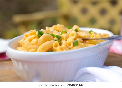 Elbow Macaroni And Cheese With Scallions