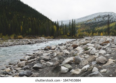 Elbow River Landscape -- Fall Colours