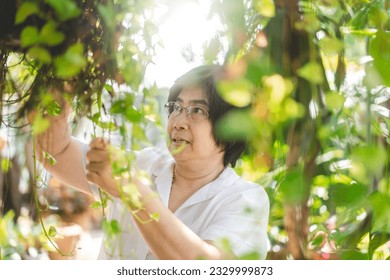 Elder asian woman relax at home garden outdoor backyard. Leisure with gardening for mental health. South east asian tropical climate plant - Powered by Shutterstock