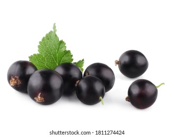 Elder berries isolated on white background. - Shutterstock ID 1811274424