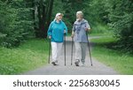 Elder family hikers pair fun stroll. Two happy old sportsman enjoy romantic date. Old sporty couple nordic walk poles green nature forest park. Elderly people fit workout. Old grandparents joy smile.