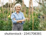 Elder pretty woman is standing in summer vegetable garden. Small agricultural farm.