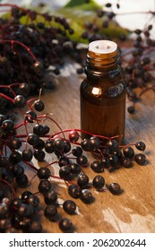 Elderberry Essential Oil (extract, Tincture) With Elderberry Berries