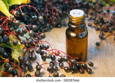 Elderberry Essential Oil (extract, Tincture) With Elderberry Berries