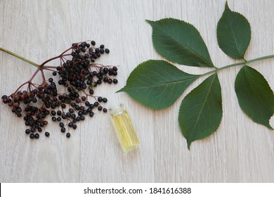 Elderberry Essential Oil (tincture, Extract, Infusion) With Fresh Elderberry On Wooden Background