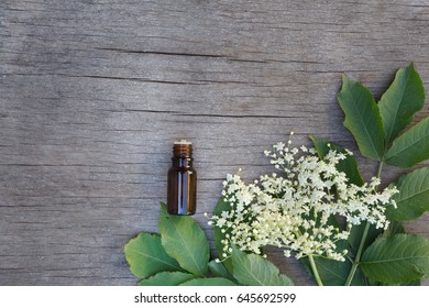 Elderberry Essential Oil (tincture, Extract) With Elderberry Flowers On Wooden Background