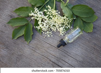 Elderberry Essential Oil (tincture, Extract) With Elderberry Flowers On Wooden Background