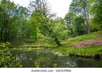 Elderflower Fields, Pippingford Park, Nutley, Uckfield, East Sussex, UK - May 24/27 2019