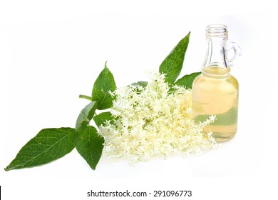 Elderflower tea, drink, juice  with a sprig of fresh flowers and leafs - Powered by Shutterstock