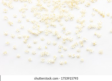 Elderflowers on a white Background