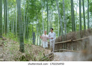 An Elderly Asian Couple Walking In A Bamboo Forest