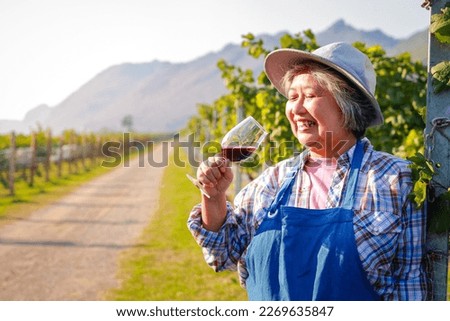Elderly Asian farmers farm grapes in the countryside to produce quality wines. An old woman holding a glass of wine drinking in the vineyard. agriculture concept. copy space