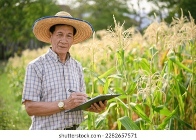 An elderly Asian male farmer or farm owner in straw hat and clipboard paper stands in his cornfield. Agricultural business owner concept - Powered by Shutterstock