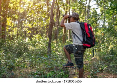 An Elderly Asian Man And Backpack Watching Birds With Binoculars On Trees In The Forest. Old Man Hiking In Nature On Vacation 