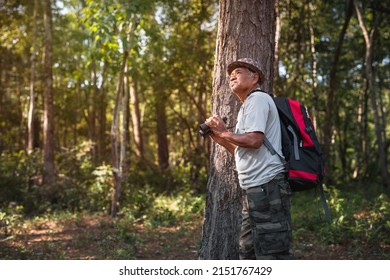 An Elderly Asian Man And Backpack Watching Birds With Binoculars On Trees In The Forest. Old Man Hiking On Vacation.