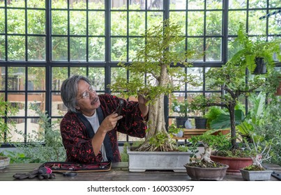 An elderly Asian man bonsai artist is sitting down and cutting the ornamental plants as a hobby  at greenhouse .Lifestyle and hobby after retirement concept - Powered by Shutterstock