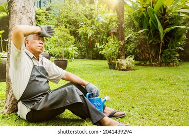 Elderly Asian Man Has Fainted, Dizzy, Faint And Exhausted, Leaning Against A Tree From Working Outdoors In A Sweltering Garden : Elderly Man Who Works And Waters Plants Has A Dizzying Sensation.